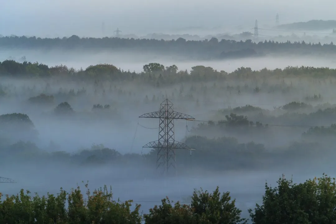 Misty woodland pylon dawn, Portsdown Hill