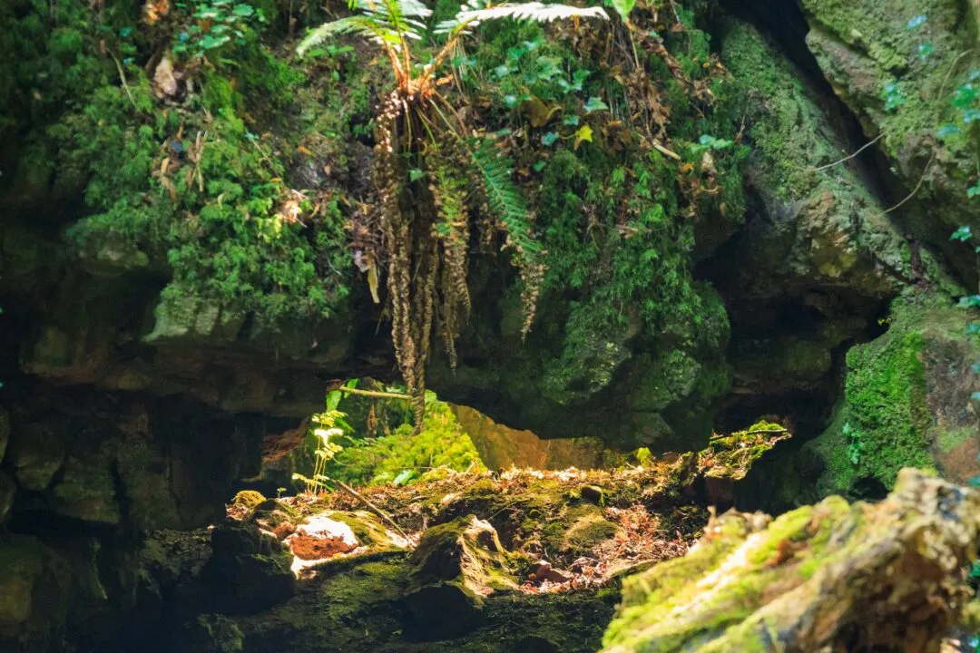 Puzzlewood cave rock opening