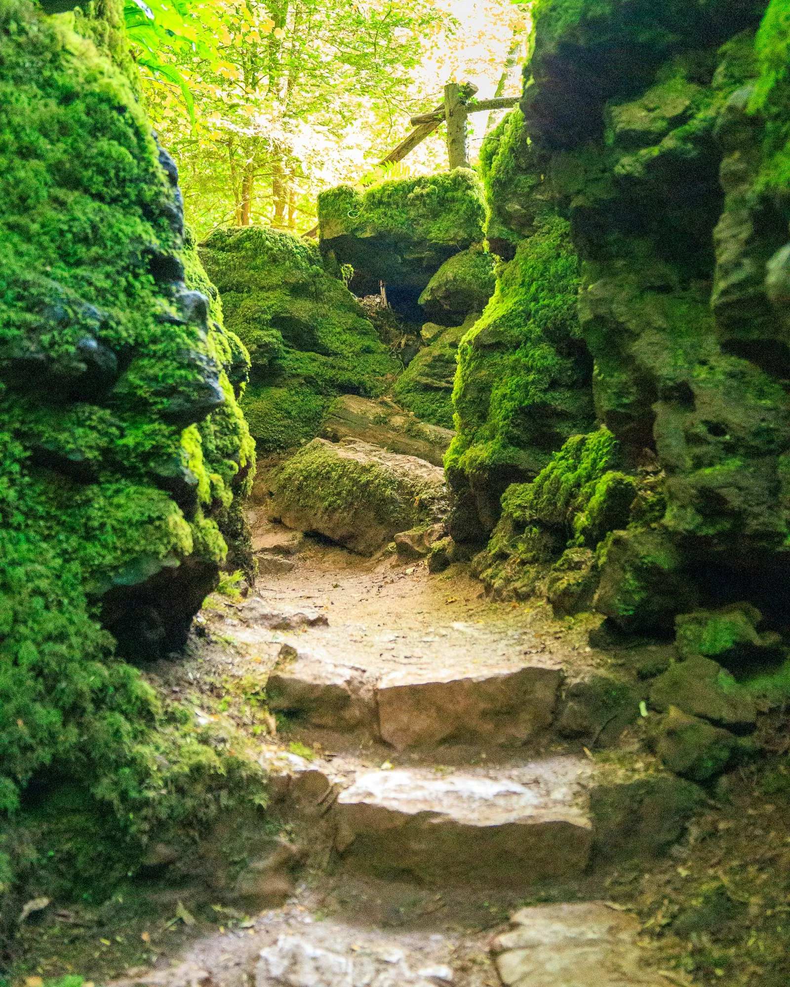 Puzzlewood rock corridor hero