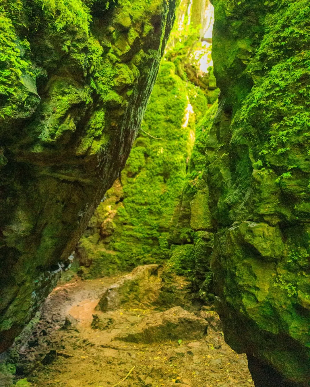 Puzzlewood rock passage dramatic light