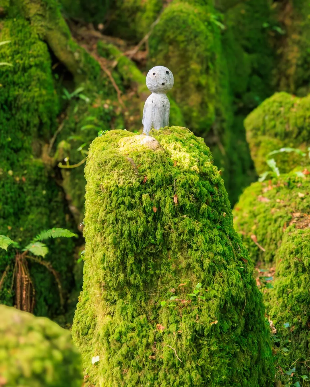 Puzzlewood woodland figure mossy rock