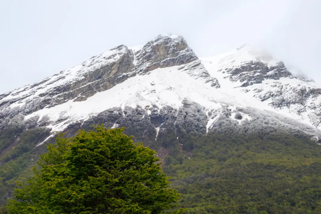 Quiet lake framed by an overhanging branch with layered mountains beyond, Tierra del Fuego