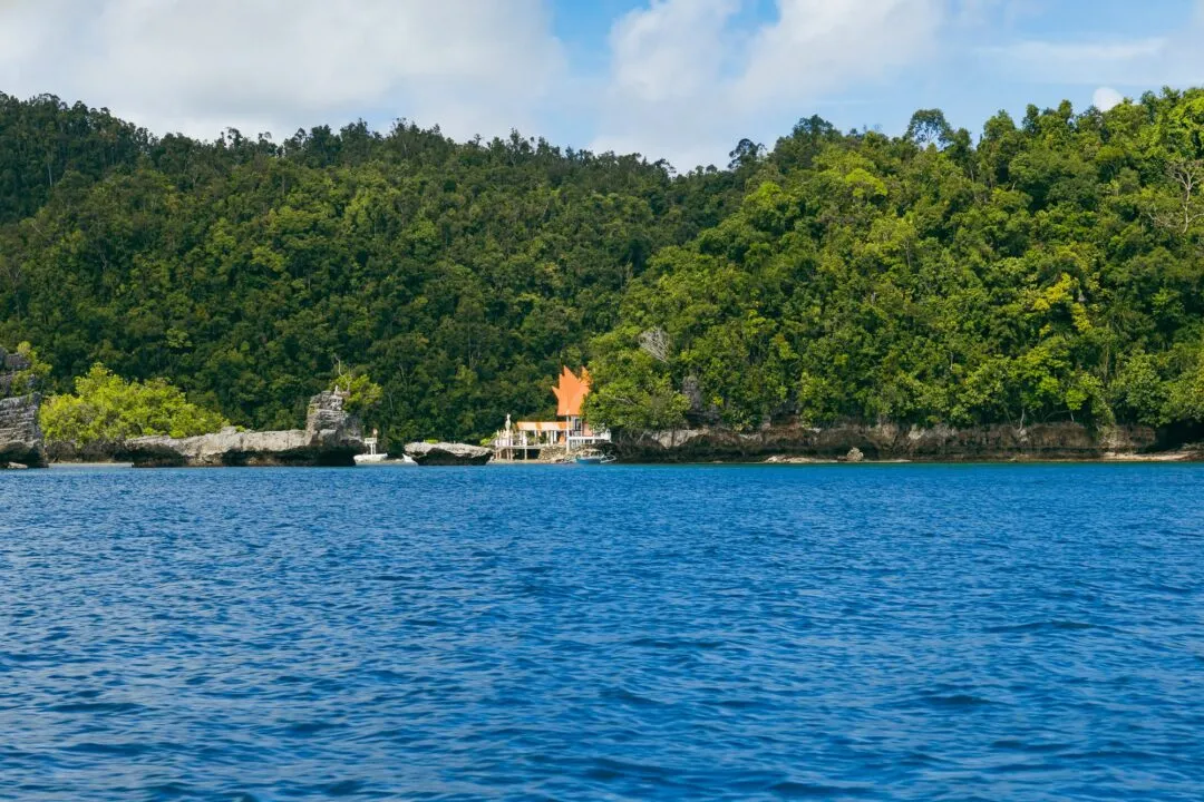 Red roofed house green cliff blue water siargao