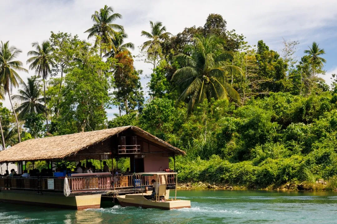 River cruise boat palm trees bohol