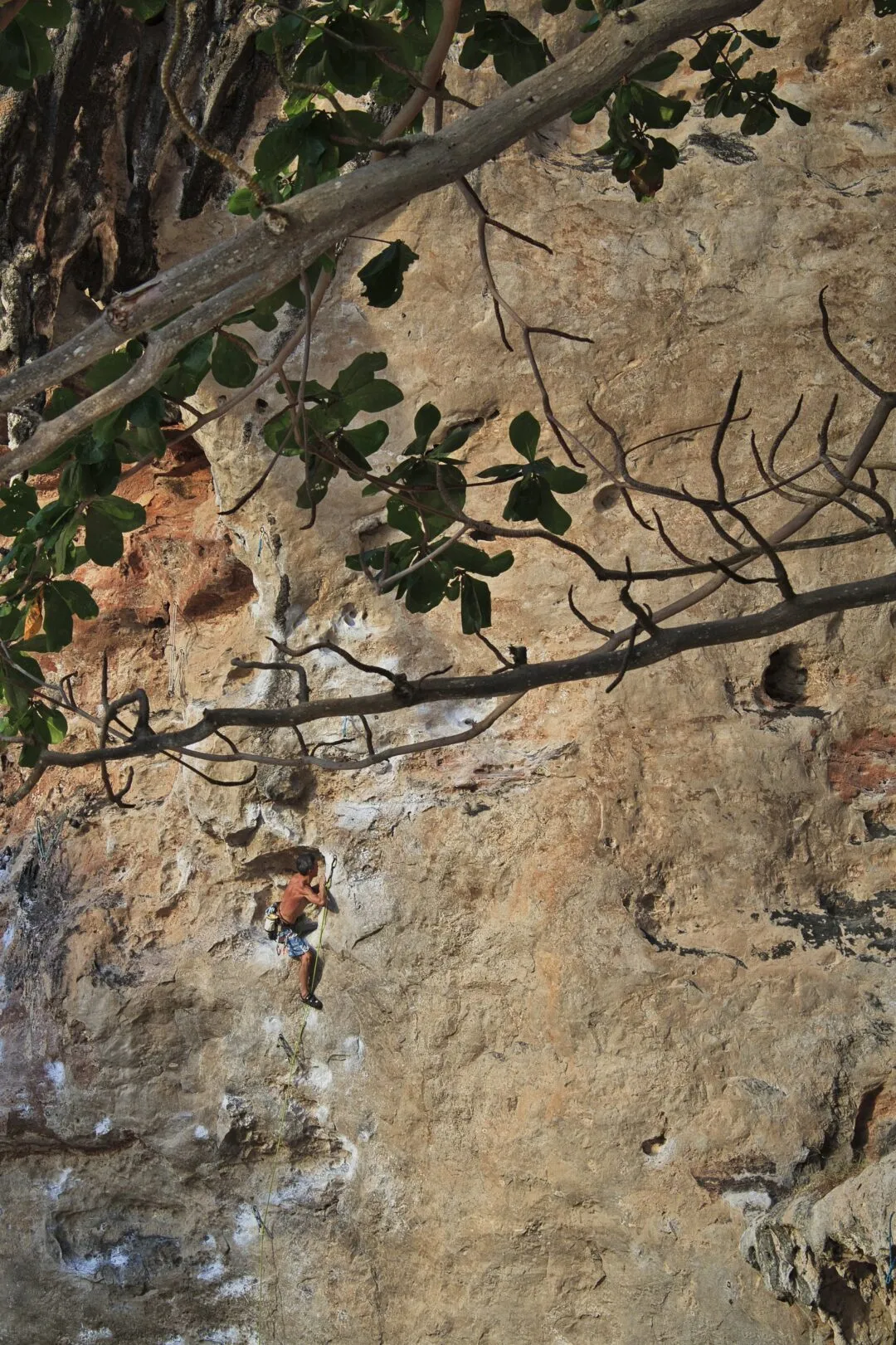 A rock climber ascending a sheer limestone cliff face in Thailand.