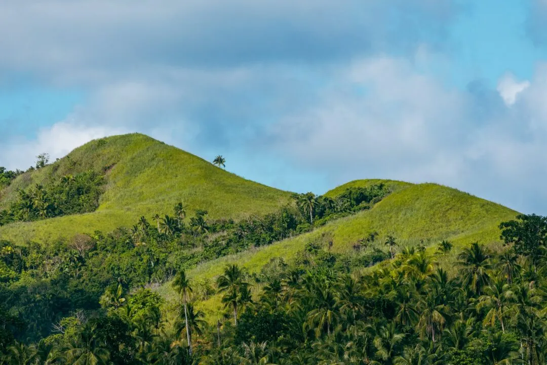 Rolling green hills lone palm siargao