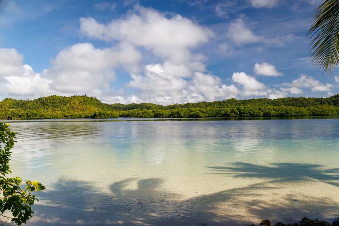 Serene lagoon reflection clouds palm shadow siargao