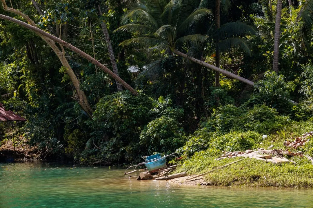 Small boat moored riverbank bohol