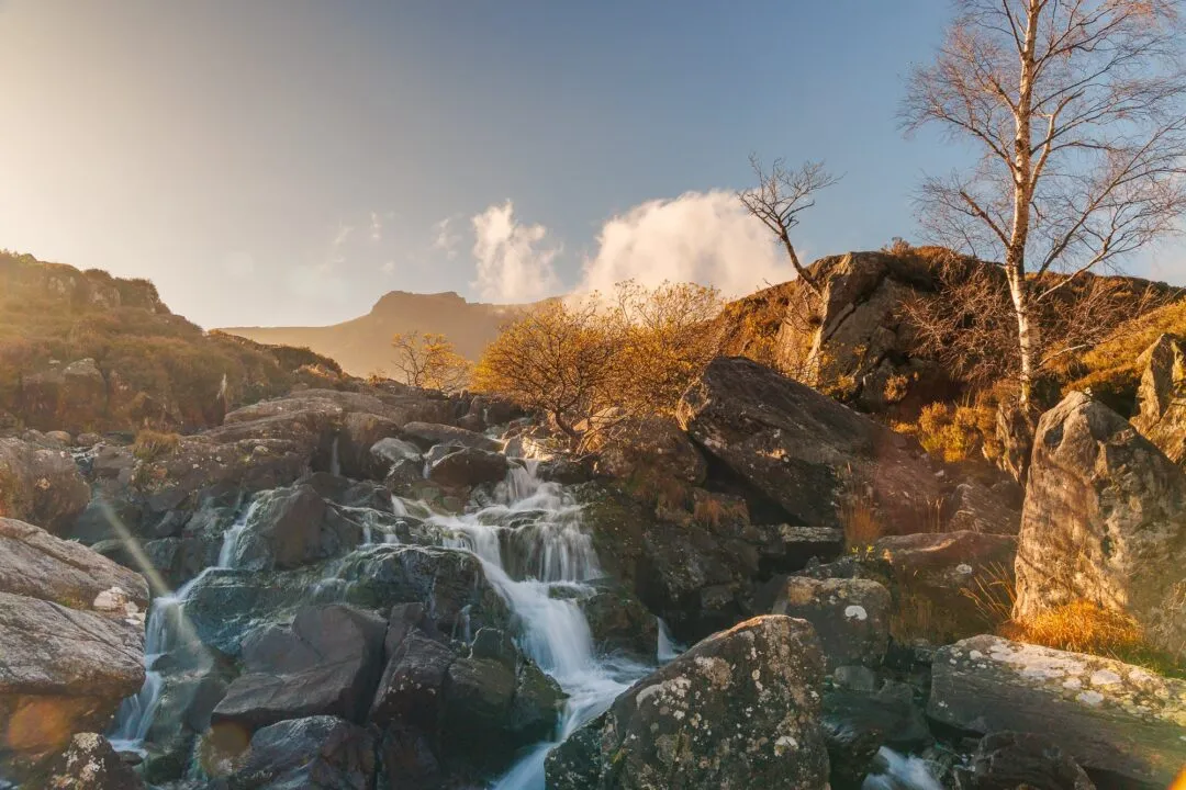 Snowdonia llyn idwal golden cascade tree