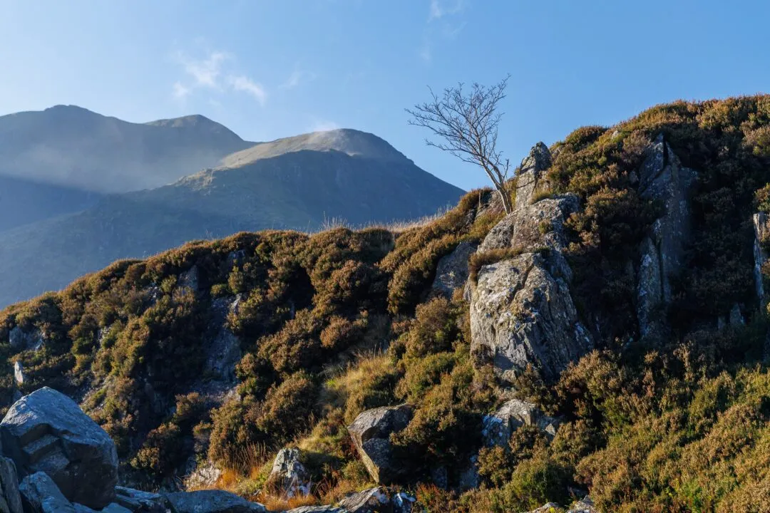 Snowdonia llyn idwal lone tree rock