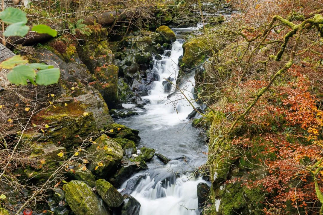Snowdonia penmachno waterfall autumn