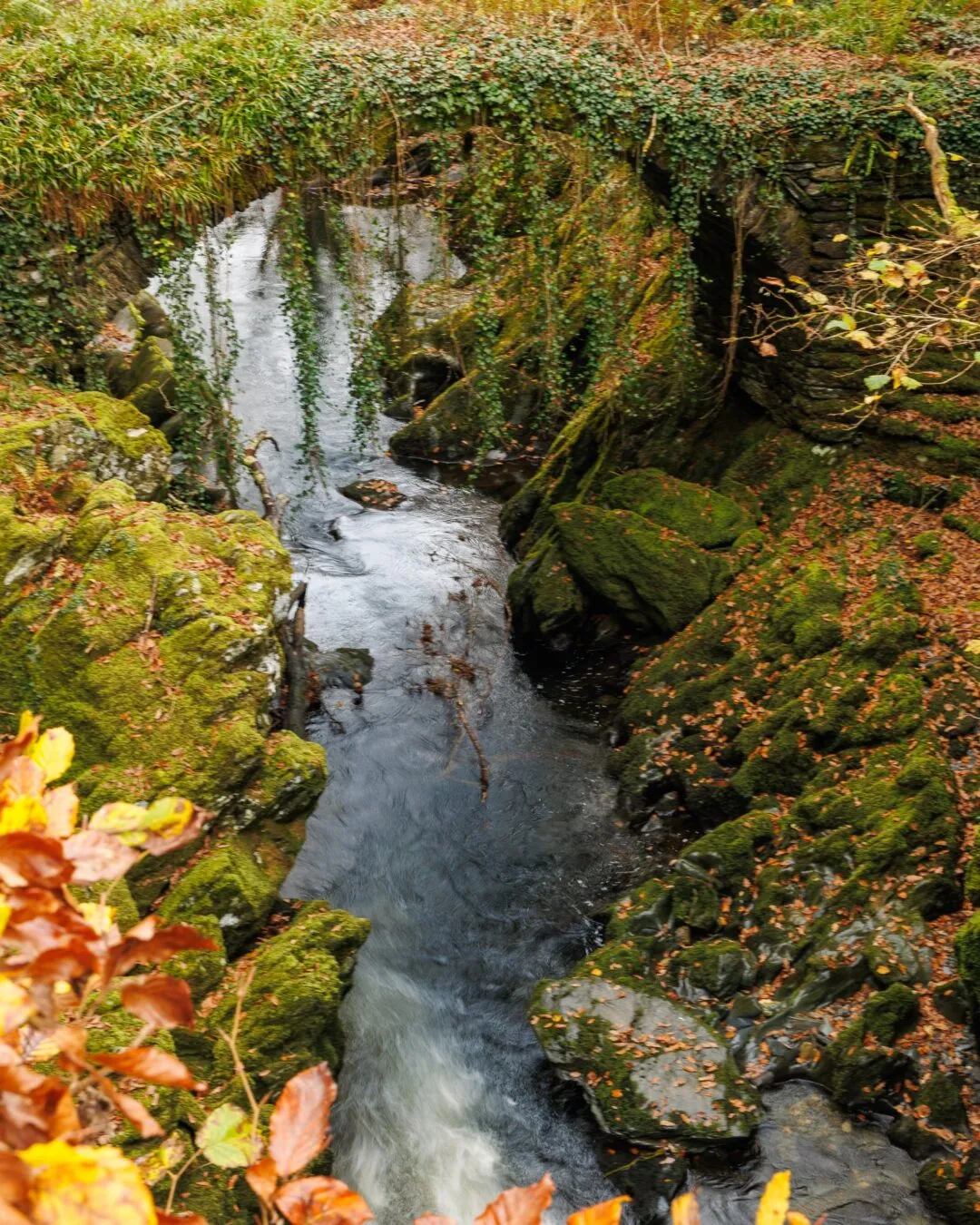 Snowdonia penmachno waterfall moss rocks