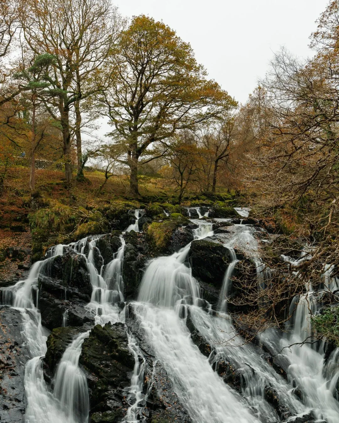 Snowdonia swallow falls portrait tiers