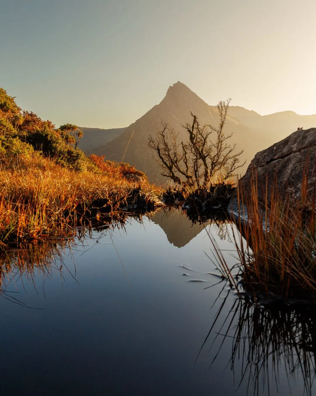 Snowdonia tryfan golden tree reflection