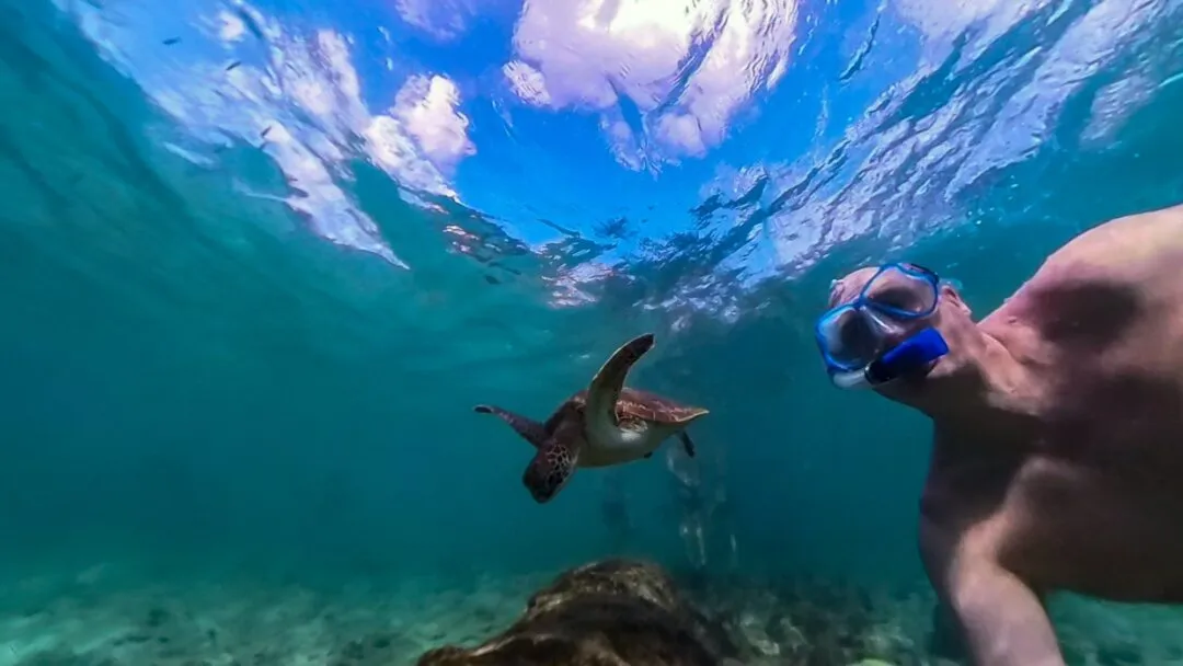Solo turtle glide symmetry cebu