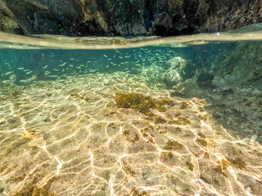 Split level underwater fish school cave overhang El Nido