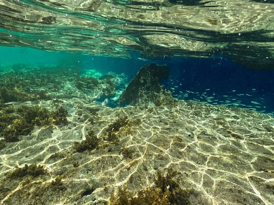 Split shot rock spike blue depth fish schools El Nido