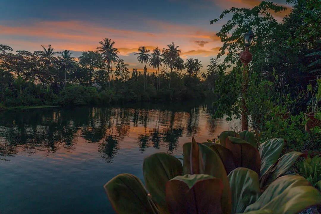Sunset lake reflection foliage bohol