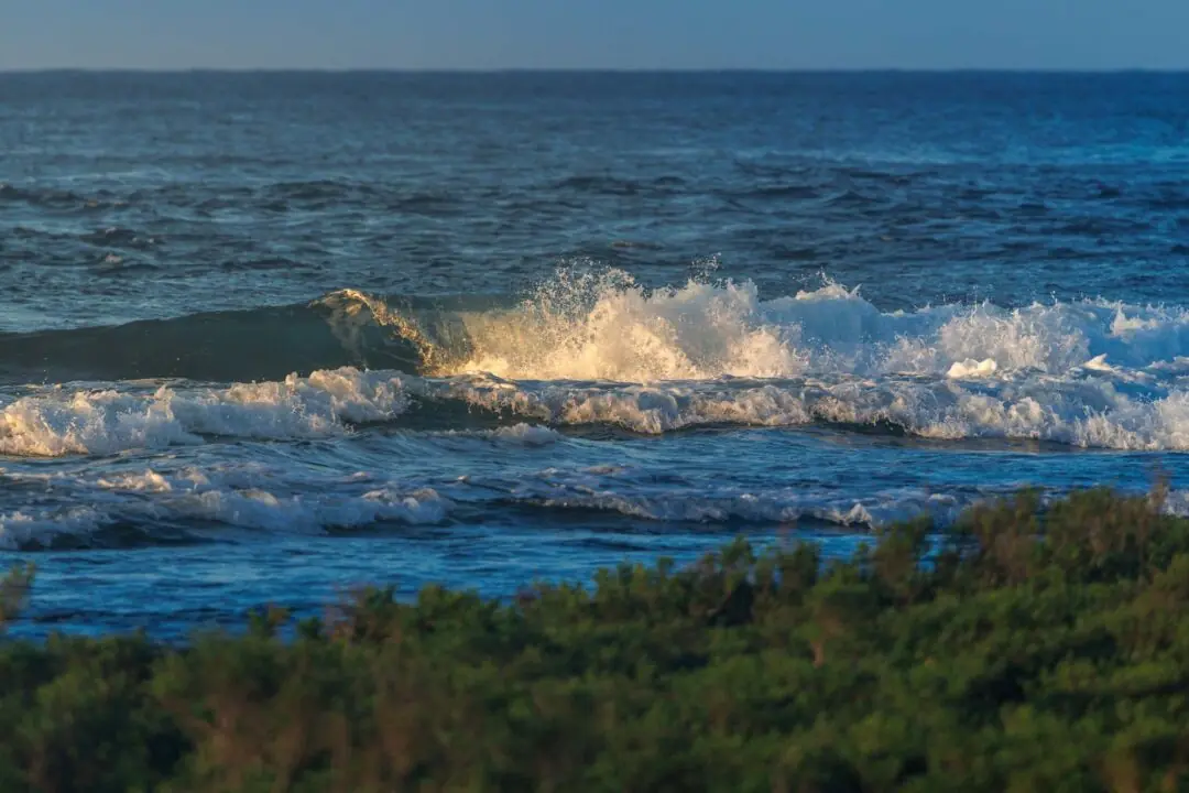 Wave crashing in golden late light, Taitung coast, Taiwan