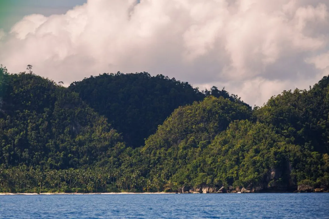 Textured karst coastline siargao