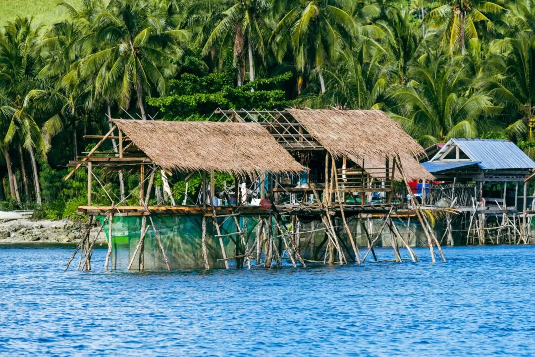 Thatched stilt hut over water siargao