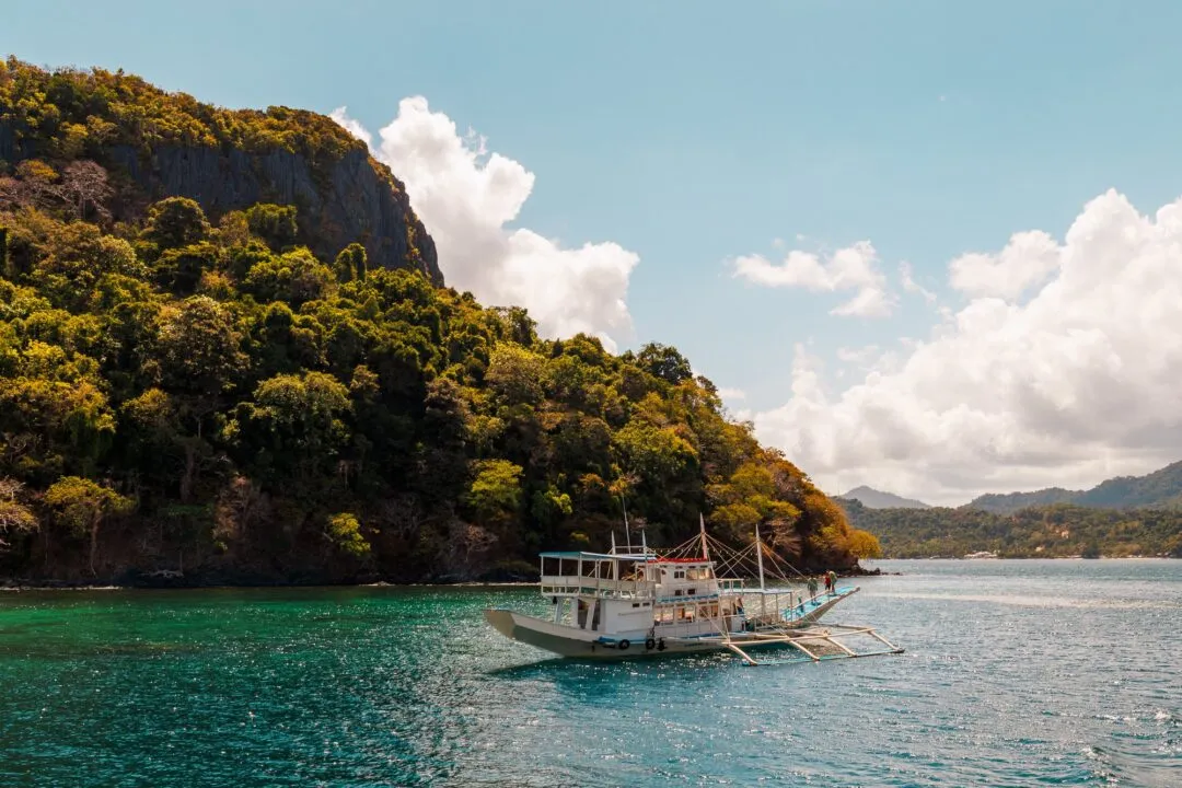 Tour boat jungle fringed cove El Nido