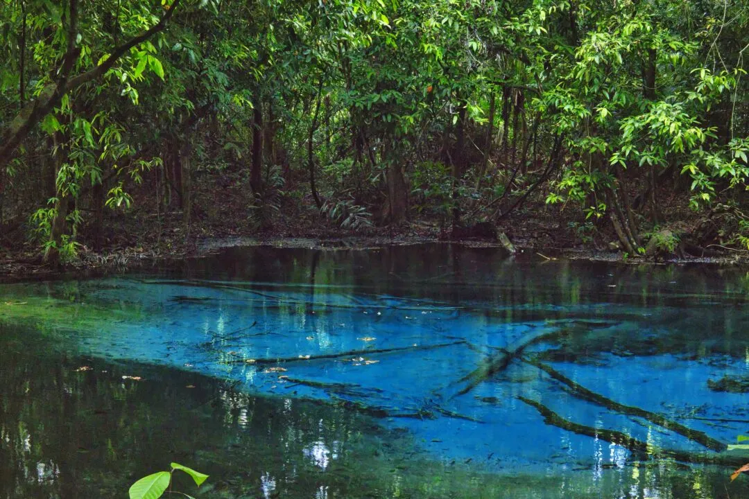 A striking turquoise natural spring pool set in dense rainforest in Thailand.