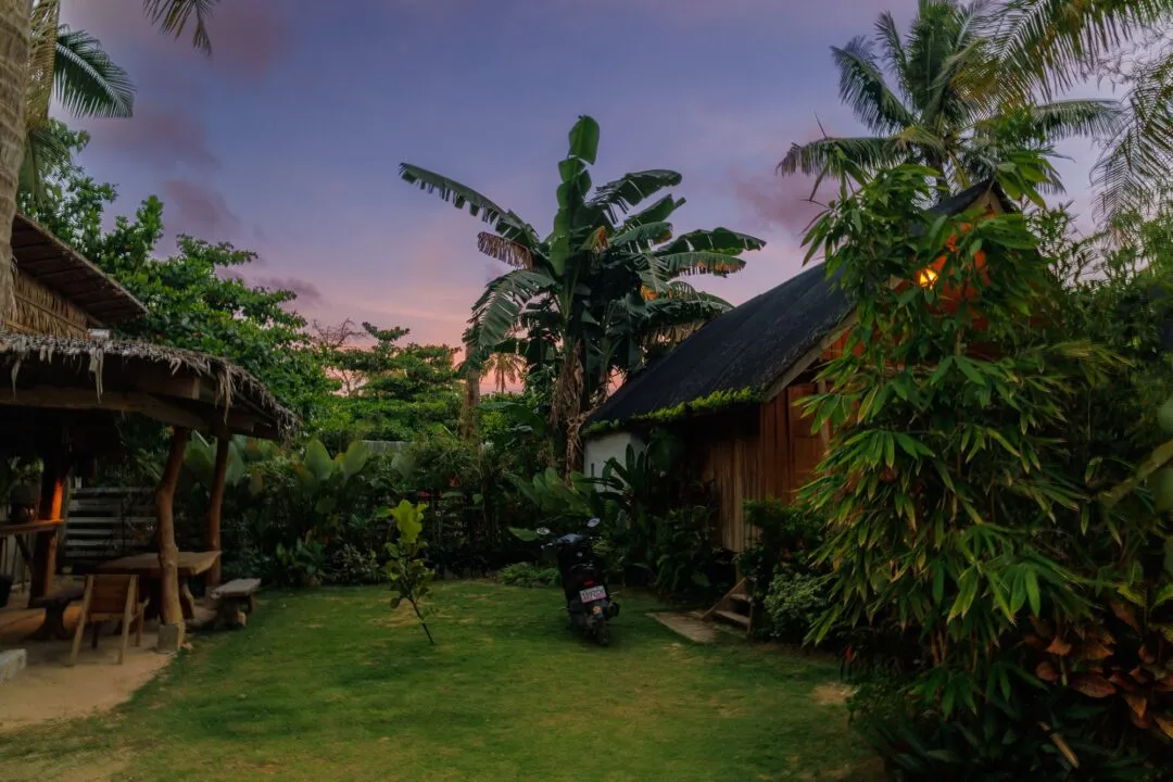 Twilight bungalow banana tree pastel sky siargao