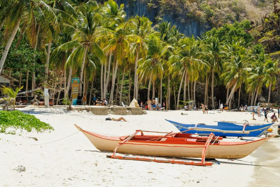 Vibrant beach colourful outrigger boats palms El Nido