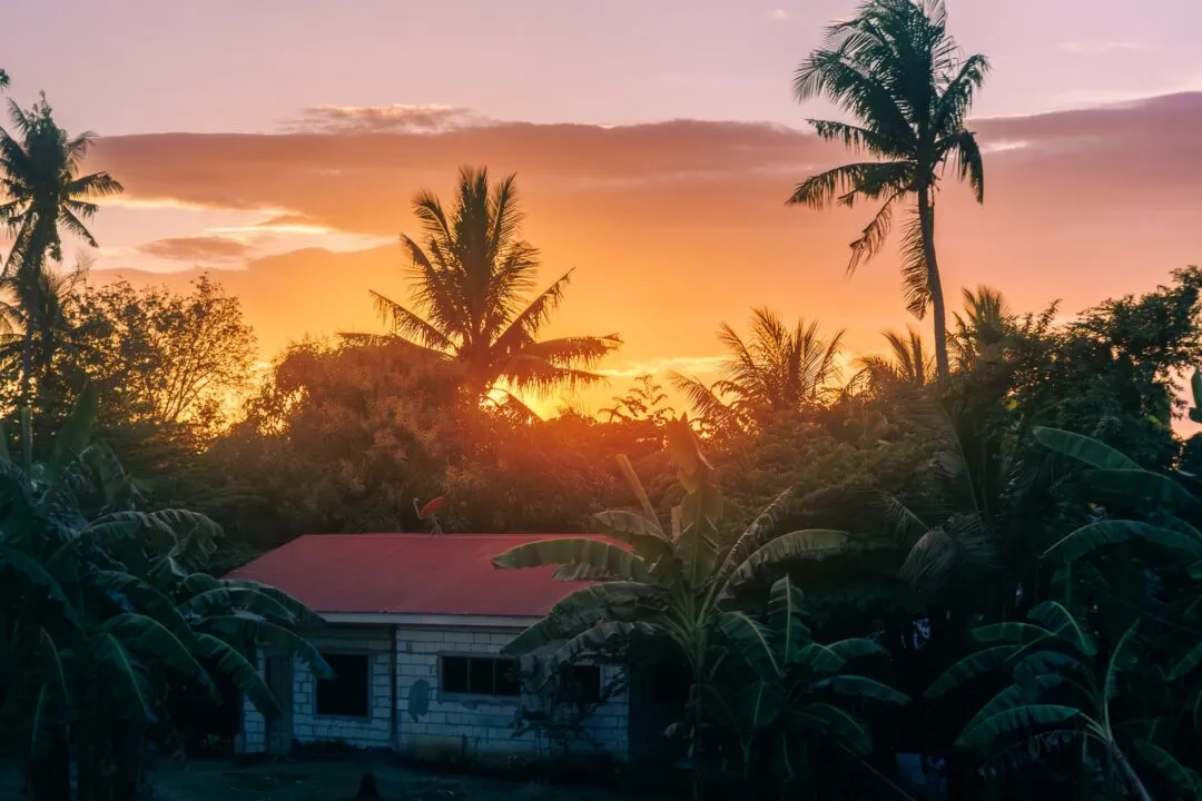 Warm sunset roofed house palms cebu