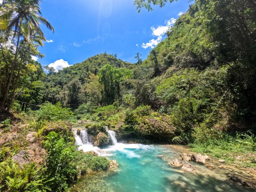 Waterfall pool palm framing cebu