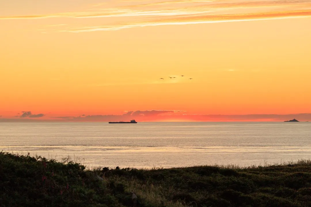 Bird flock ship island sunset, West Hook Farm