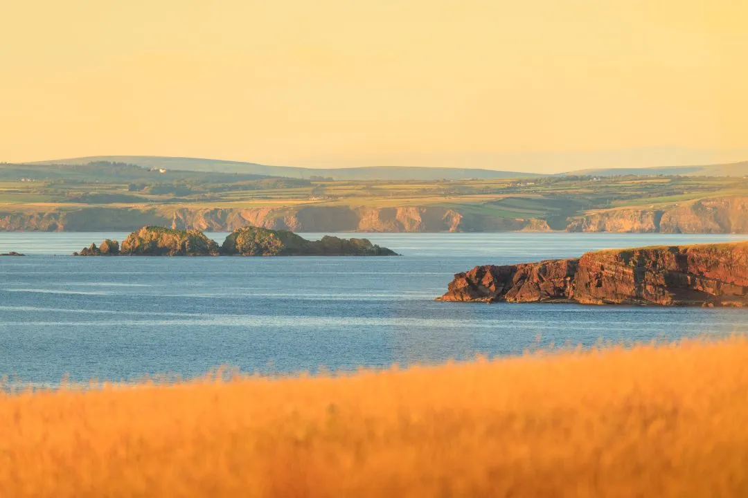 Golden hour cliffs bay view, West Hook Farm