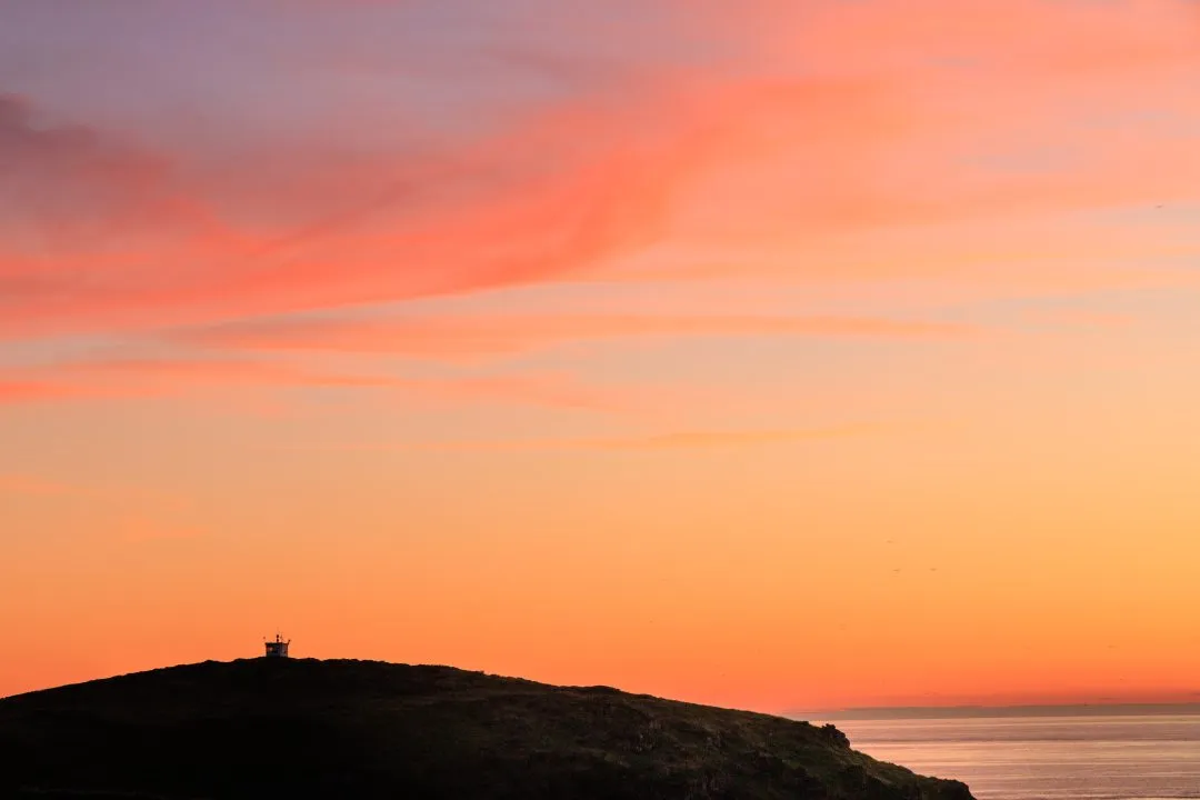 Lookout hut silhouette pink sky, West Hook Farm