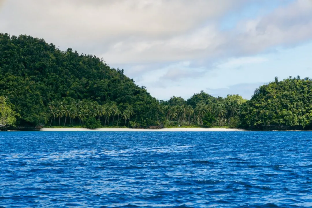 White sand palm lined beach cove siargao